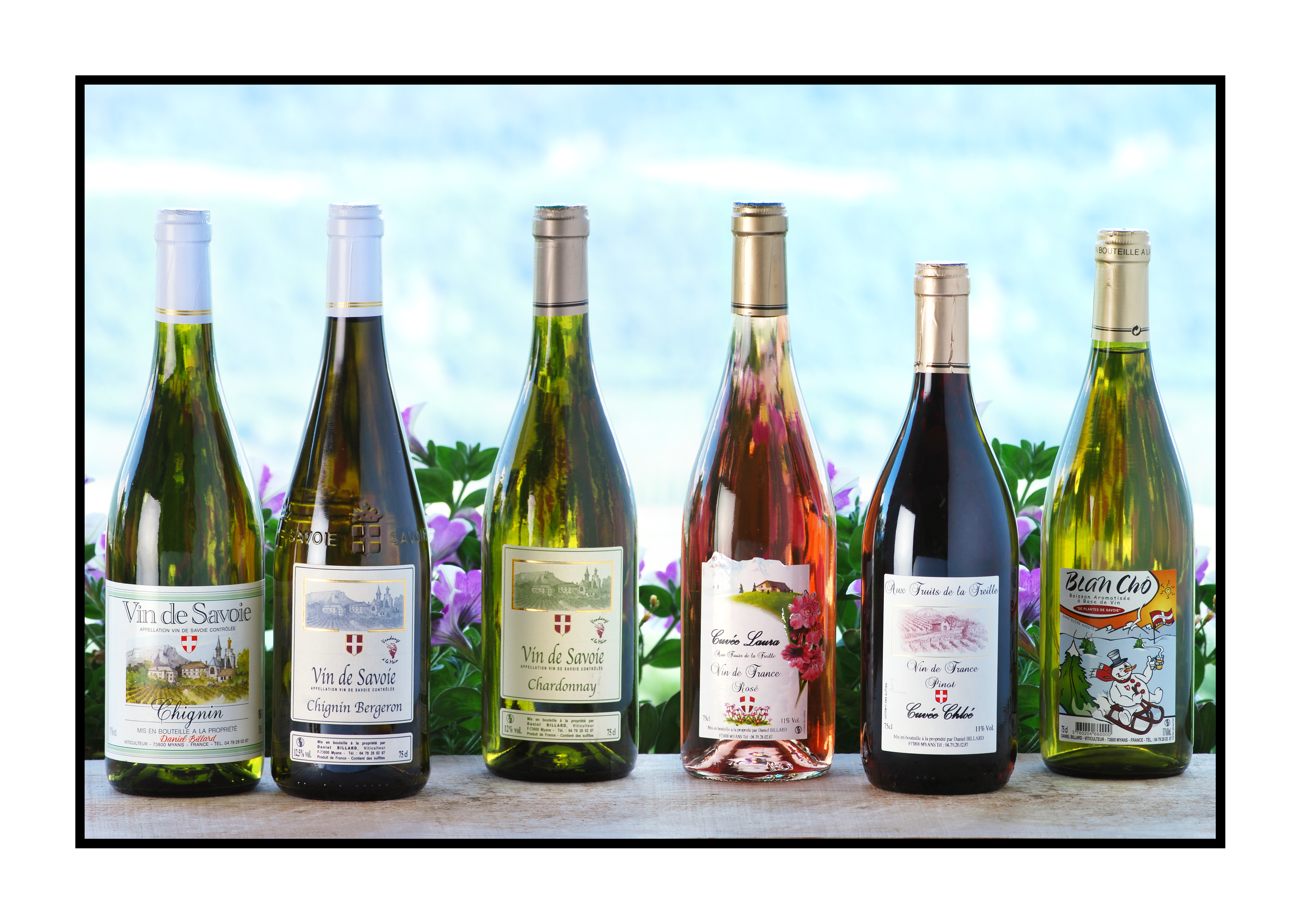 vin de savoie-Saveurs de nos fermes-Magasin de producteurs Saveurs de nos fermes -Albertville-Gilly Sur Isère-savoie- vente directe- agriculteur-produits locaux-