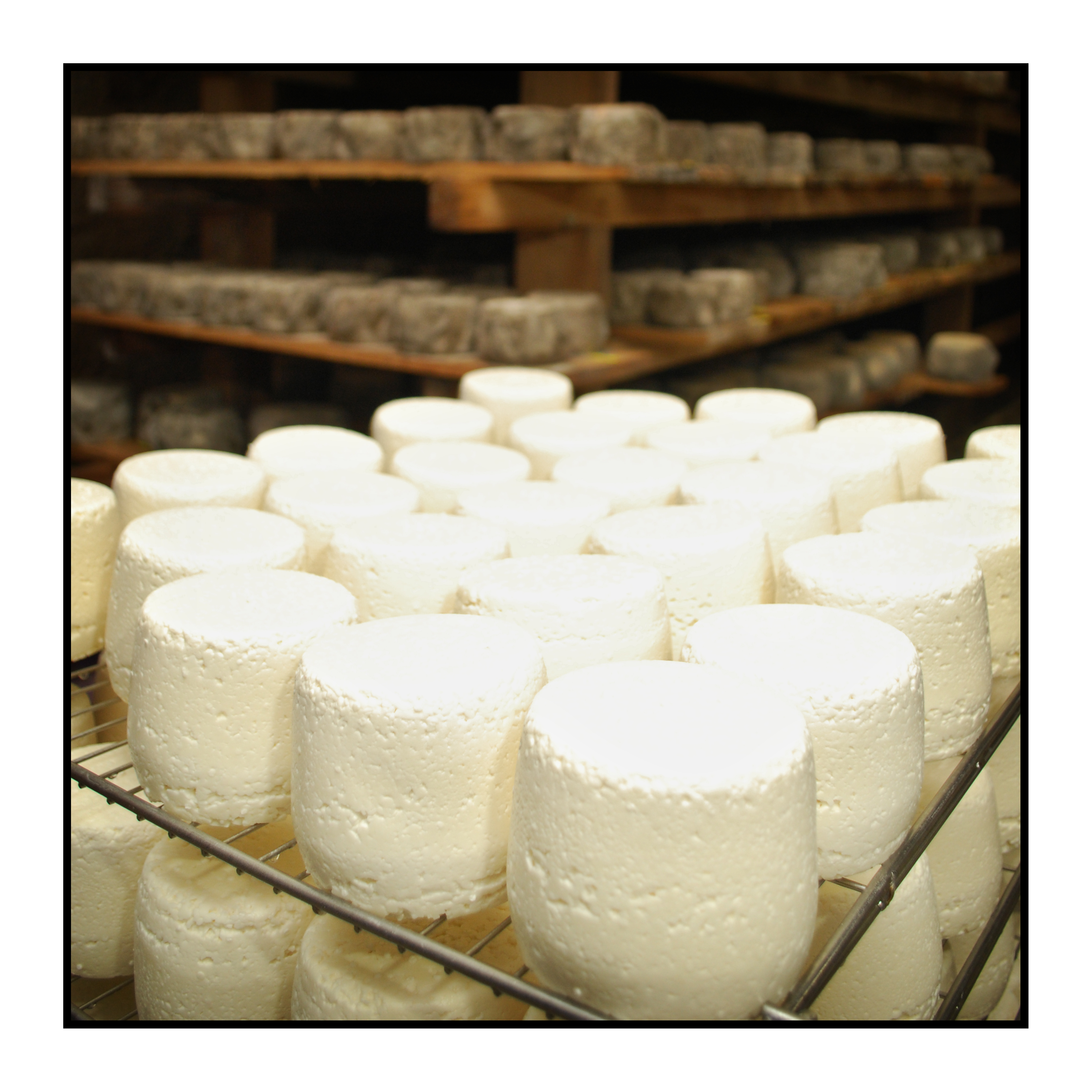 cave à fromages-Saveurs de nos fermes-Magasin de producteurs Saveurs de nos fermes -Albertville-Gilly Sur Isère-savoie- vente directe- agriculteur-produits locaux-