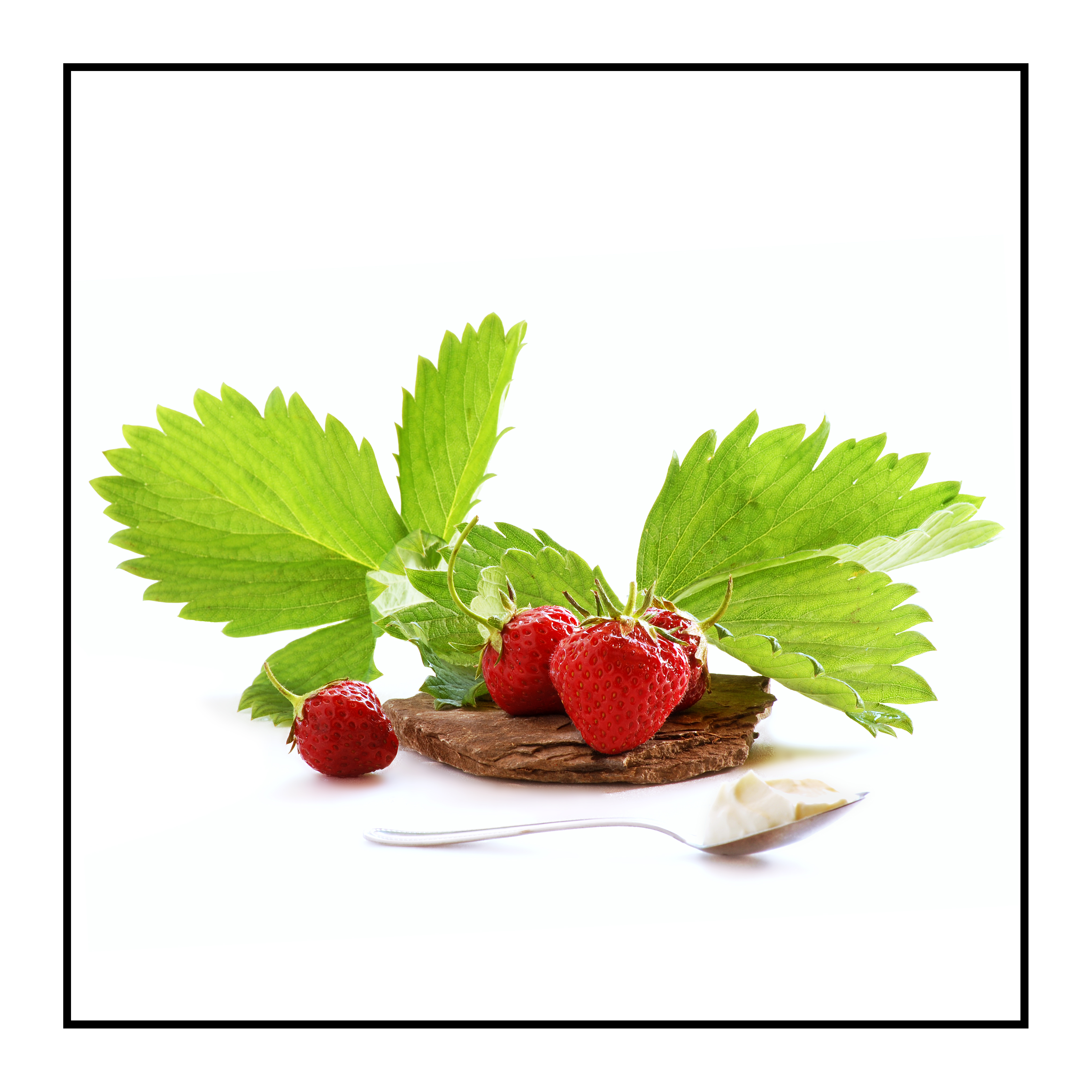 fraises-bio-Pommes bio- locales- arboriculteur- ferme-magasin de producteurs - Gilly sur Isère / Albertville- savoie - terroir